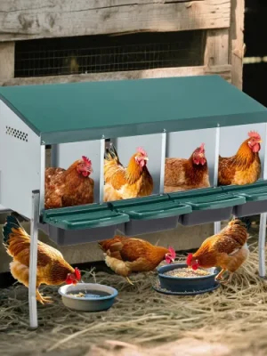 Nichoir à poules avec 4 compartiments et pieds, comprenant un couvercle pour une utilisation extérieure (poulailler/enclos à volailles), vert